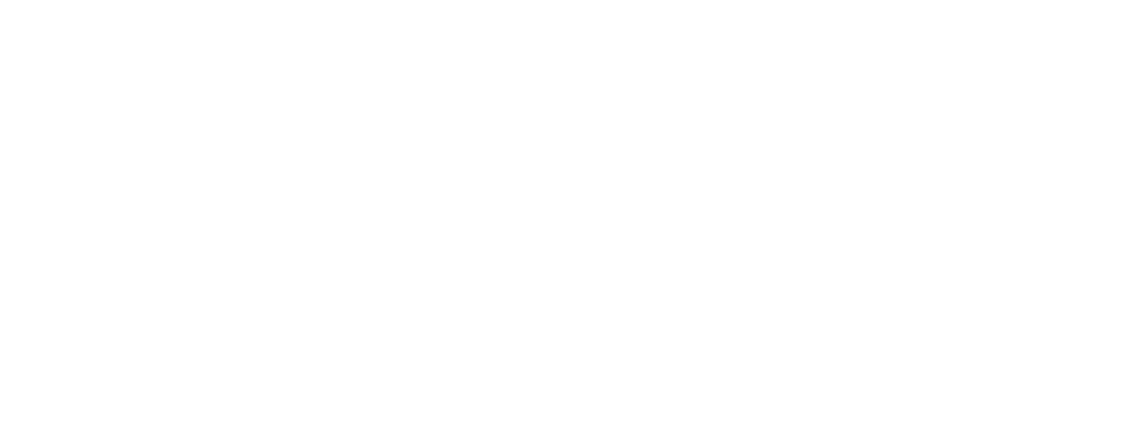 amni logo white